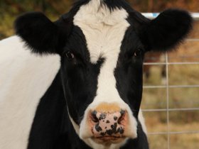 2011-07-02-444 Mary (c) Jason Grossman.jpg